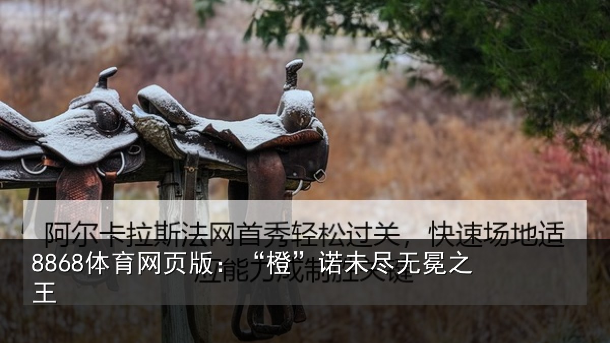 8868体育网页版：“橙”诺未尽无冕之王
