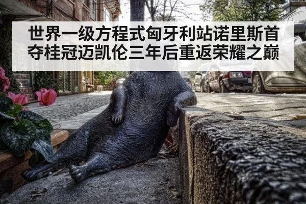 世界一级方程式匈牙利站诺里斯首夺桂冠迈凯伦三年后重返荣耀之巅